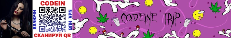 мега ссылка  Шахты  Кодеин Purple Drank 