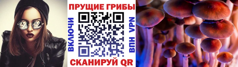 Псилоцибиновые грибы мицелий Шахты